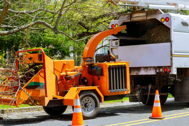 Soil Testing and Treatment in Elkins, WV